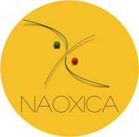 logo Naoxica petit