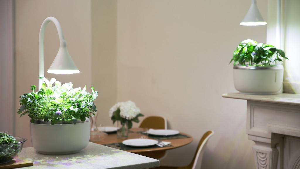 SproutsIO: Smart Microgarden project video thumbnail
