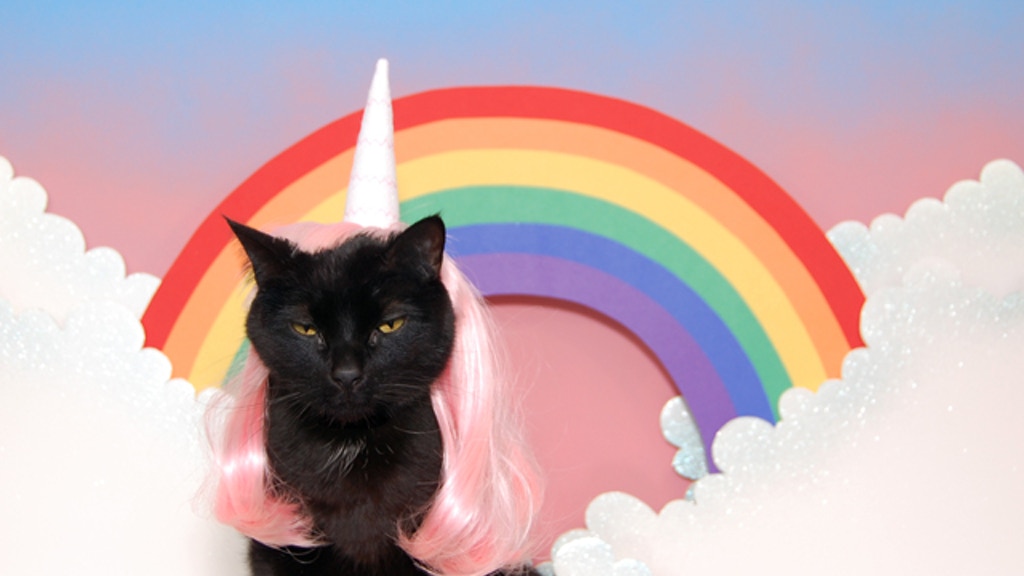 World's Most Super Amazing 100% Awesome Cat Calendar project video thumbnail