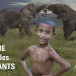 PDJ : 29 Juillet – Awely, Protéger les éléphants en Zambie