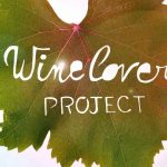 PDJ 13 Novembre : Wine Lover Project