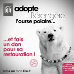 PDJ 21 Mai : Adoptez les animaux du musée lillois !