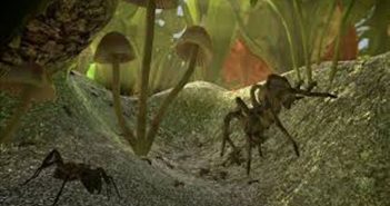 Ant-Simulator