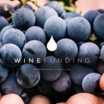 [LANCEMENT] WineFunding, la plateforme de crowdfunding experte du vin