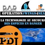 PDJ 17 juin : Opération #Wings4Sea, sauvons le Diable de mer méditérranéen