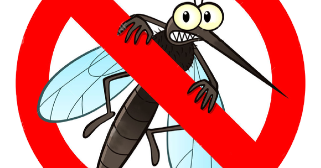 Dites STOP aux piqures de moustiques !