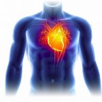 Corwave lève 15,5 millions d’euros pour augmenter l’espérance de vie des patients en insuffisance cardiaque